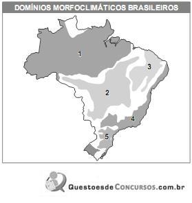 imagem-015.jpg