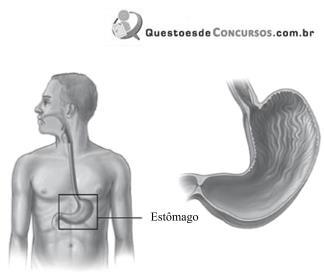 imagem-007.jpg