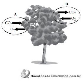 imagem-004.jpg