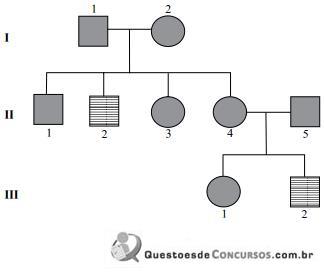 imagem-005.jpg