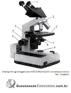 imagem-019.jpg