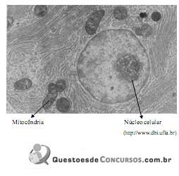 imagem-007.jpg