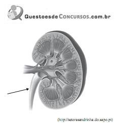 imagem-006.jpg