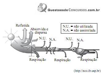 imagem-004.jpg