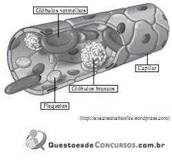 imagem-003.jpg