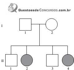 imagem-011.jpg