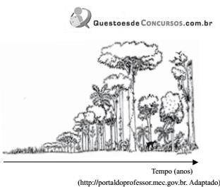 imagem-007.jpg