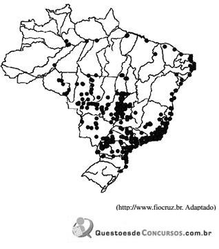 imagem-006.jpg