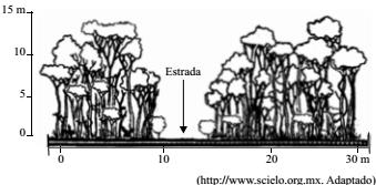 imagem-005.jpg
