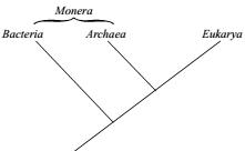 imagem-003.jpg
