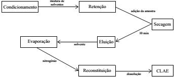 imagem-014.jpg