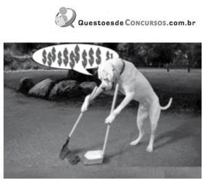 imagem-002.jpg