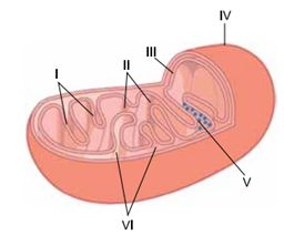Q3.png 256×212