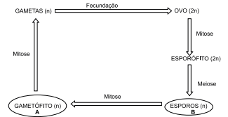 Q45.png 325×167