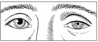 Q_21 RECENTE.png 326×140