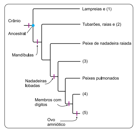 q_57 biolo.png 430×414