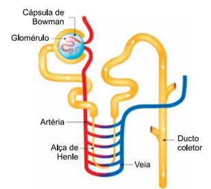 Q40.png 308×276