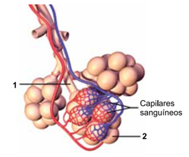 Q38.png 276×229
