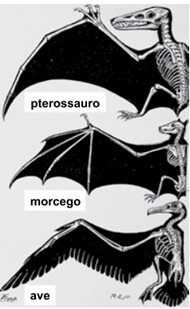Q37.png 190×309