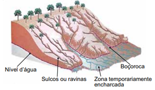Q47.png 312×182