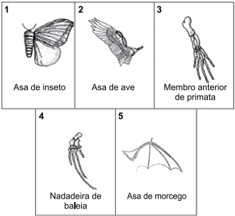 50.jpg 339×312