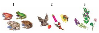 Q34.png 348×116