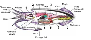 Q32.png 369×164