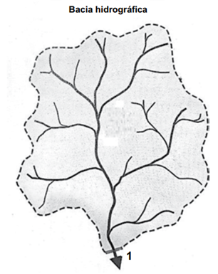 Q42.png 306×385