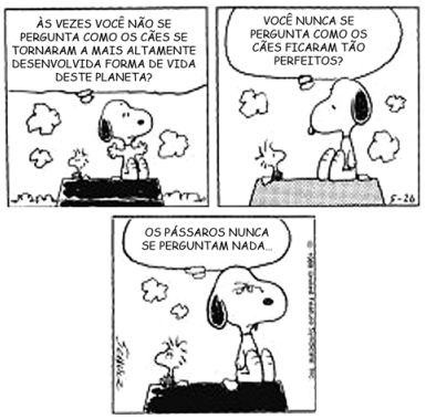 Captura_de tela 2025-10-30 123347.png 385×379