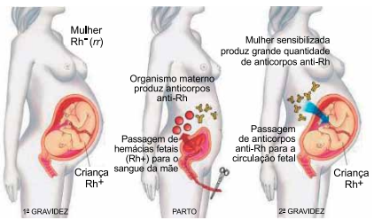 Captura_de tela 2025-08-04 164143.png 422×248