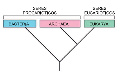 Captura_de tela 2025-08-04 163229.png 389×242