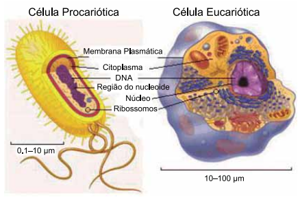 Captura_de tela 2025-08-04 161553.png 438×287