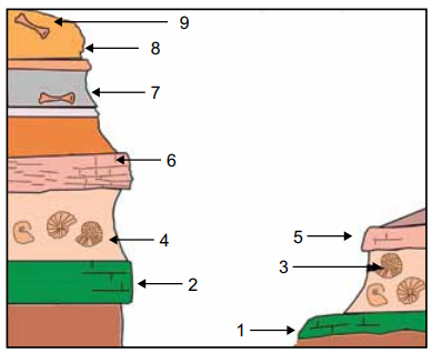 Captura_de tela 2025-08-06 095032.png 389×318