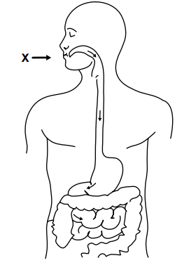 Captura_de tela 2025-08-05 213611.png 270×377