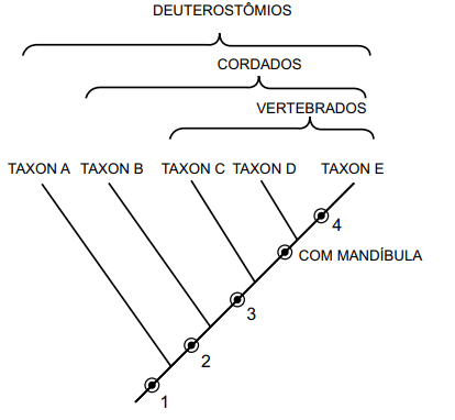 Captura_de tela 2025-08-05 213604.png 414×382