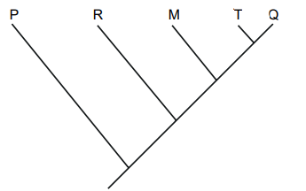 Captura_de tela 2025-08-05 213408.png 345×216