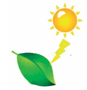 Q60.png 280×289