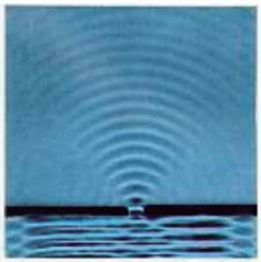 Q54_2.png 237×238