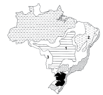 Q40.png 332×305