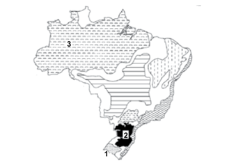 Q39.png 326×234