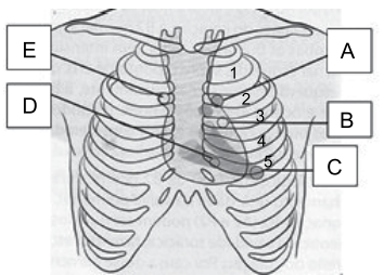 Captura_de tela 2025-10-03 091538.png 354×254