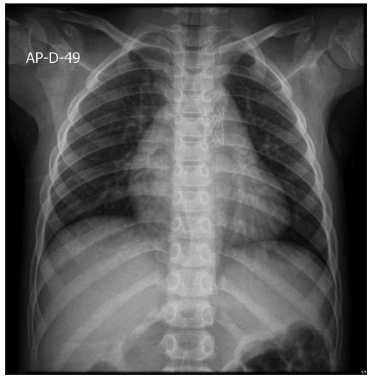 Captura_de tela 2025-04-03 131854.png 371×378