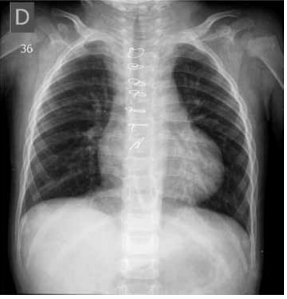 Captura_de tela 2025-04-03 132725.png 287×299