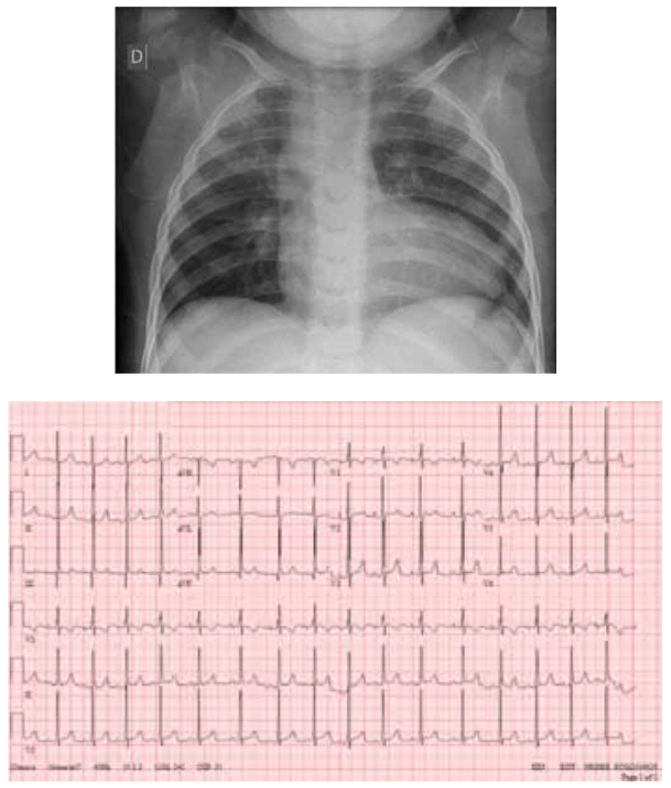 Captura_de tela 2025-04-03 130903.png 609×715