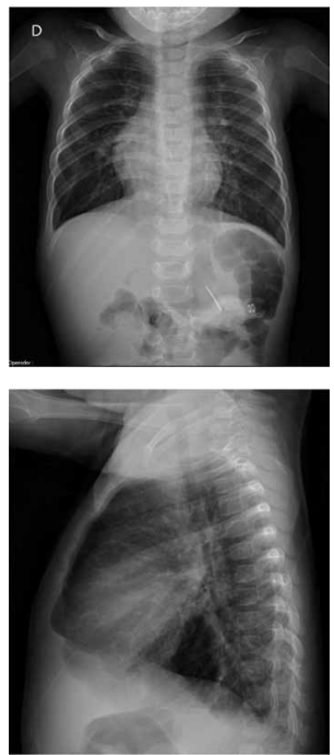 Captura_de tela 2025-04-03 130744.png 306×691