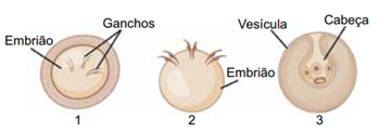 Q39.png 349×124