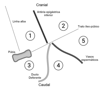 Captura_de tela 2026-04-01 102616.png 401×338