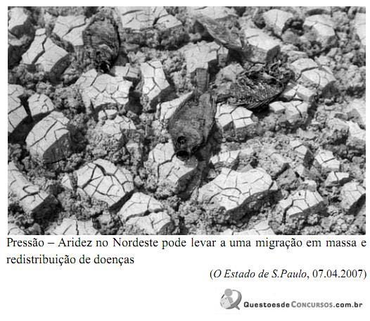 imagem-001.jpg
