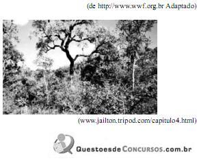 imagem-016.jpg