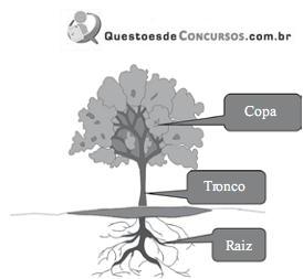 Imagem 019.jpg